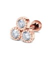Beautiful Crystal Ear Piercing TIP-2741